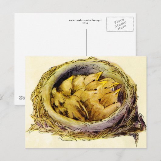  Briefkaart (Voorkant / Achterkant)