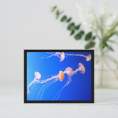 Briefkaart (Staand voorkant)