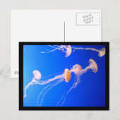 Briefkaart (Voorkant / Achterkant)