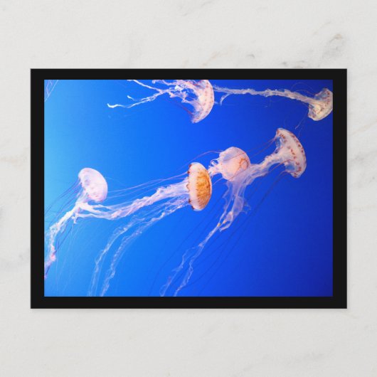 Briefkaart (Voorkant)