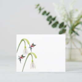 Briefkaart