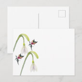 Briefkaart (Voorkant / Achterkant)