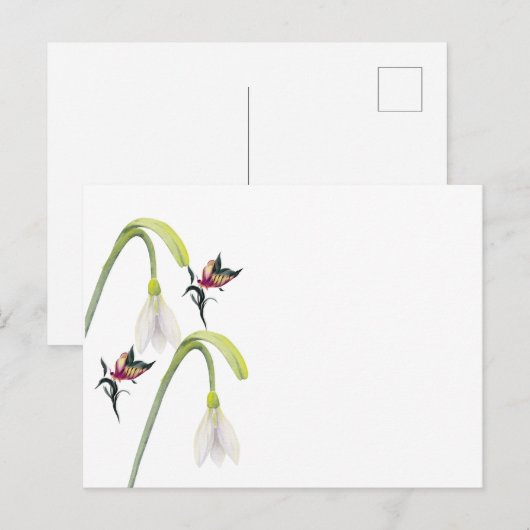 Briefkaart (Voorkant / Achterkant)