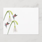 Briefkaart (Voorkant)