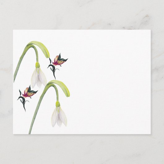 Briefkaart (Voorkant)