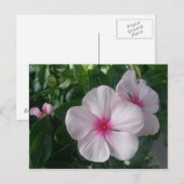 Briefkaart (Voorkant / Achterkant)