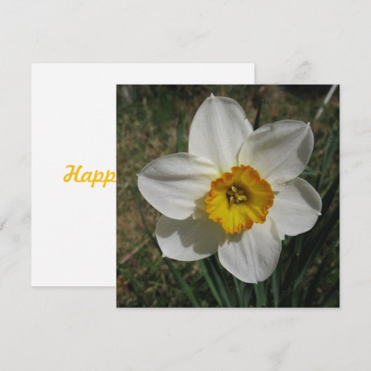 Briefkaart (Voorkant / Achterkant)