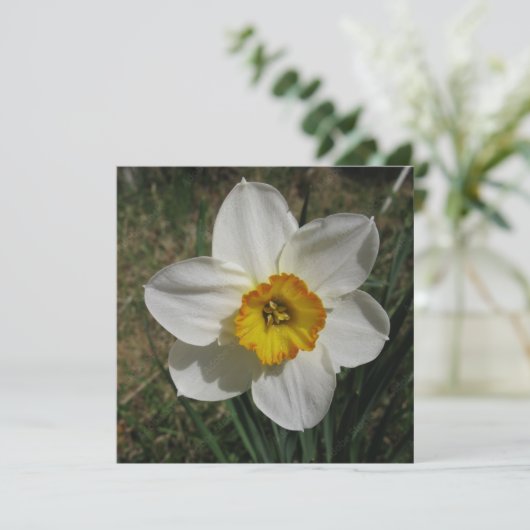 Briefkaart (Staand voorkant)