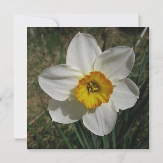 Briefkaart (Voorkant)