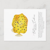 Briefkaart (Voorkant)