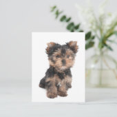 Briefkaart (Staand voorkant)