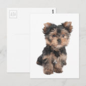 Briefkaart (Voorkant / Achterkant)