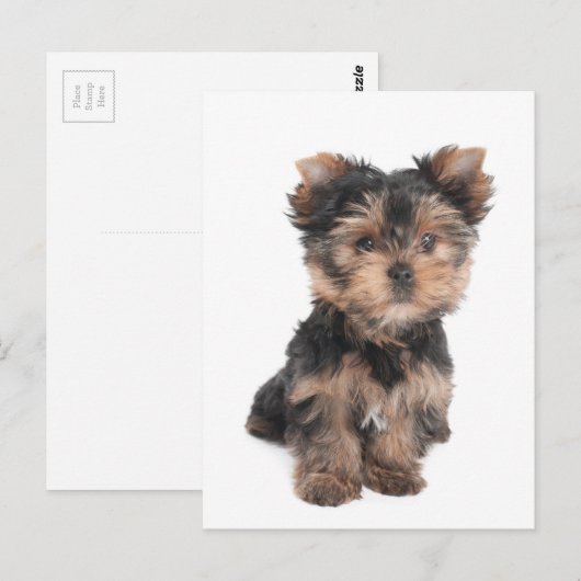 Briefkaart (Voorkant / Achterkant)