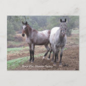 Briefkaart (Voorkant)