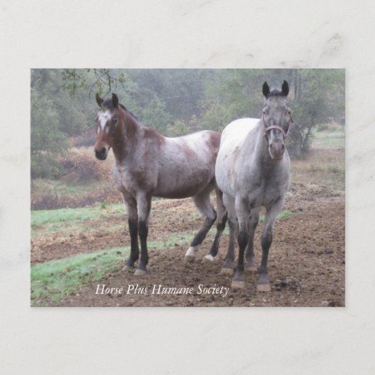 Briefkaart (Voorkant)