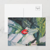 Briefkaart (Voorkant / Achterkant)
