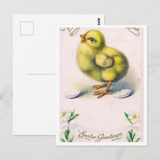 Briefkaart (Voorkant / Achterkant)