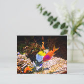 Briefkaart (Staand voorkant)