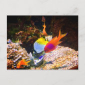 Briefkaart (Voorkant)