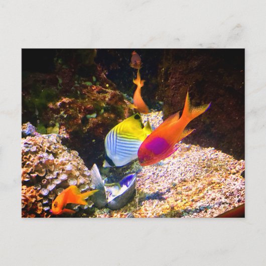 Briefkaart (Voorkant)