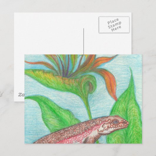 Briefkaart (Voorkant / Achterkant)