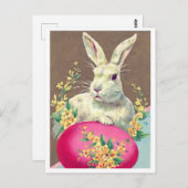 Briefkaart (Voorkant / Achterkant)