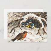  Briefkaart (Voorkant / Achterkant)