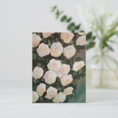 Briefkaart (Staand voorkant)