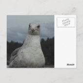 Briefkaart (Achterkant)