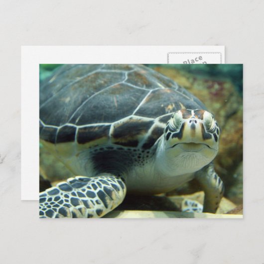 Briefkaart (Voorkant / Achterkant)