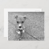 Briefkaart (Voorkant / Achterkant)