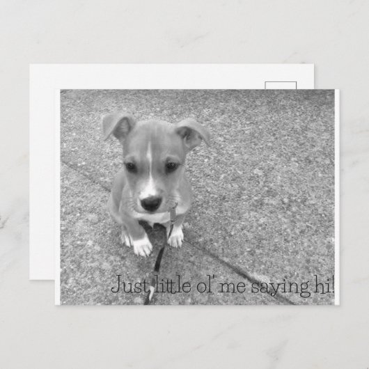 Briefkaart (Voorkant / Achterkant)