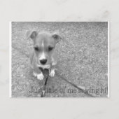 Briefkaart (Voorkant)