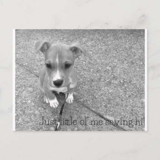 Briefkaart (Voorkant)