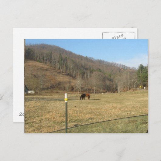 briefkaart (Voorkant / Achterkant)