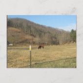 briefkaart (Voorkant)