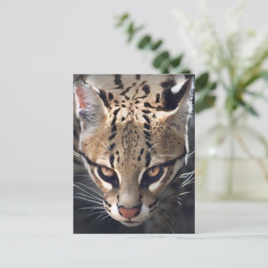 Briefkaart (Staand voorkant)