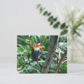 Briefkaart (Staand voorkant)