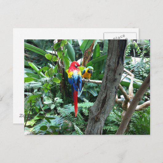 Briefkaart (Voorkant / Achterkant)