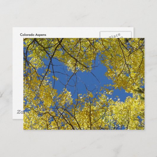 Briefkaart (Voorkant / Achterkant)