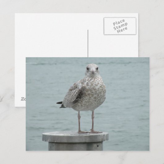 Briefkaart (Voorkant / Achterkant)