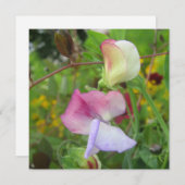 Briefkaart (Voorkant / Achterkant)