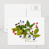 briefkaart (Voorkant / Achterkant)