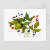 briefkaart (Voorkant)