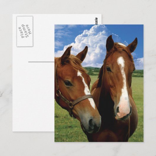 Briefkaart (Voorkant / Achterkant)