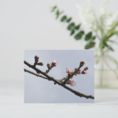 Briefkaart (Staand voorkant)