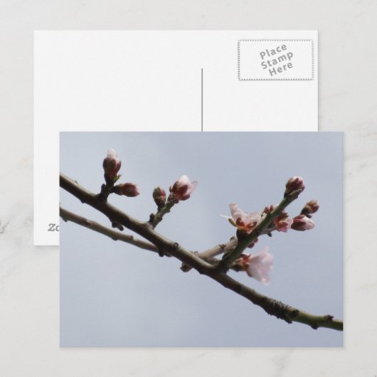 Briefkaart (Voorkant / Achterkant)