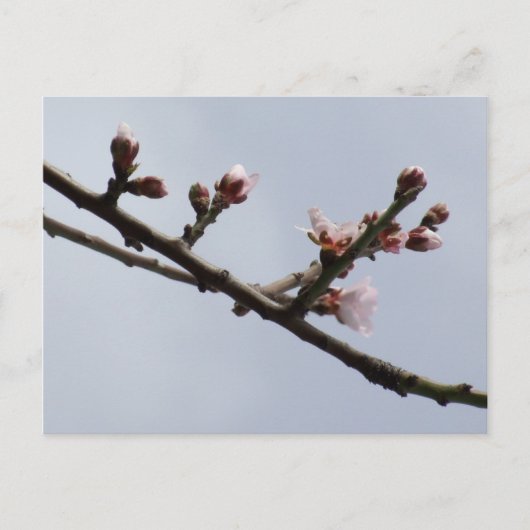 Briefkaart (Voorkant)