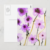 Briefkaart (Voorkant / Achterkant)