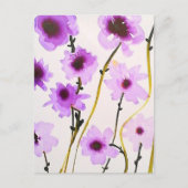 Briefkaart (Voorkant)